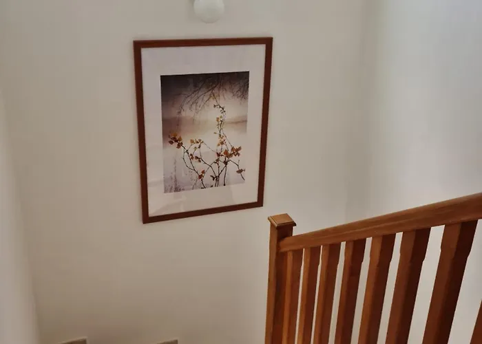 Ocean Breeze * Paralimni