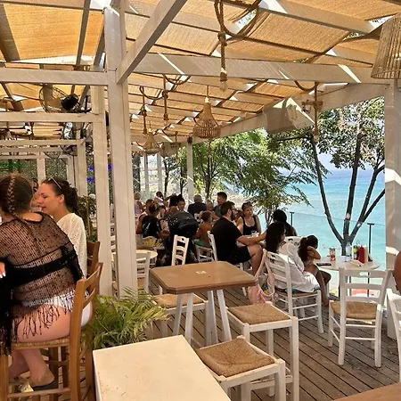 Ocean Breeze * Paralimni